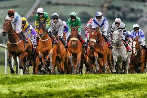 Punchestown Festival Predictions and Betting Tips, Day 1 & 2